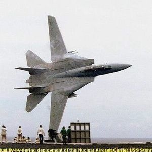 Meet your Posher, Ben